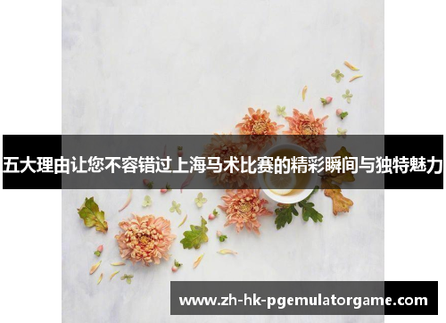 五大理由让您不容错过上海马术比赛的精彩瞬间与独特魅力
