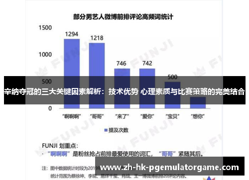 辛纳夺冠的三大关键因素解析：技术优势 心理素质与比赛策略的完美结合