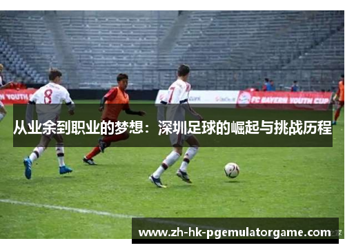 从业余到职业的梦想：深圳足球的崛起与挑战历程