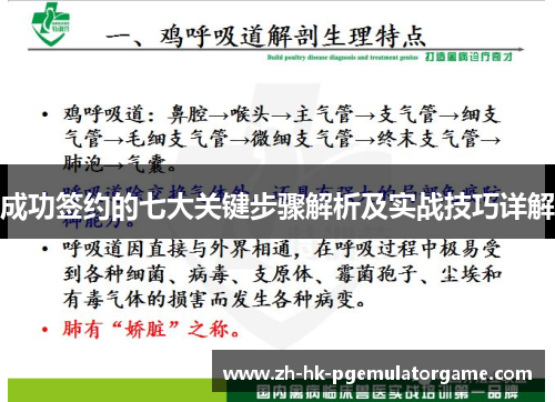 成功签约的七大关键步骤解析及实战技巧详解