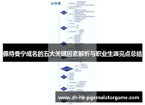 佩特曼宁成名的五大关键因素解析与职业生涯亮点总结