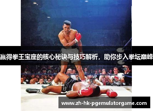 赢得拳王宝座的核心秘诀与技巧解析,助你步入拳坛巅峰 赢得拳王宝座的核心秘诀与技巧解析,助你步入拳坛巅峰