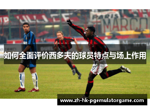 如何全面评价西多夫的球员特点与场上作用