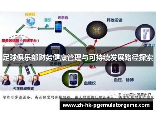 足球俱乐部财务健康管理与可持续发展路径探索